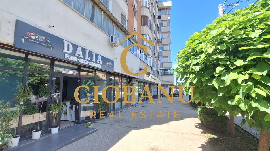 Apartament 2 camere de închiriat Ultracentral, Lângă Gradina Botanica - Poză 14