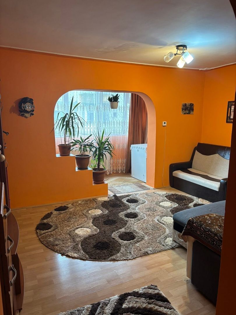 Calea Buziasului | 1 Camera | Etaj intermediar | Centrala proprie - Poză 2