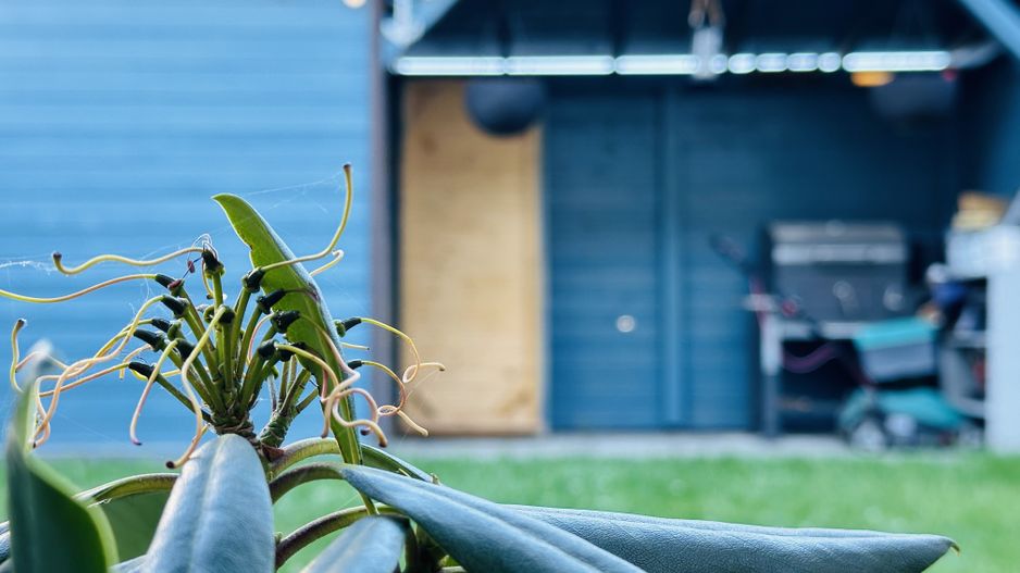 INCHIRIAT - Casa Sacalaz - Segmentul Premium | 2 dormitoare & 2 bai, 88 mp - Poză 1