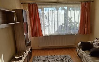 Apartament 2 Camere | Bogdăneștilor | Pet Friendly | Etaj 2 - Poză 3