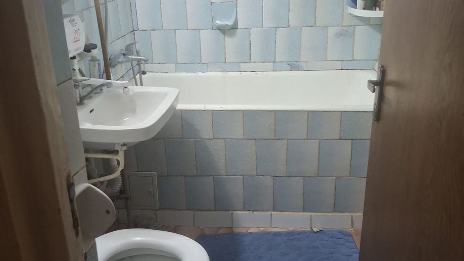 Vanzare apartament 2 camere Titan -Camil Ressu, Park Lake - Poză 9