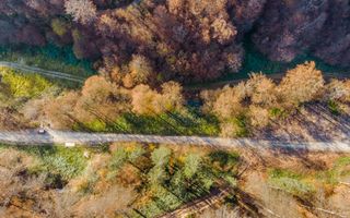 Teren central în Moneasa - Poză 3