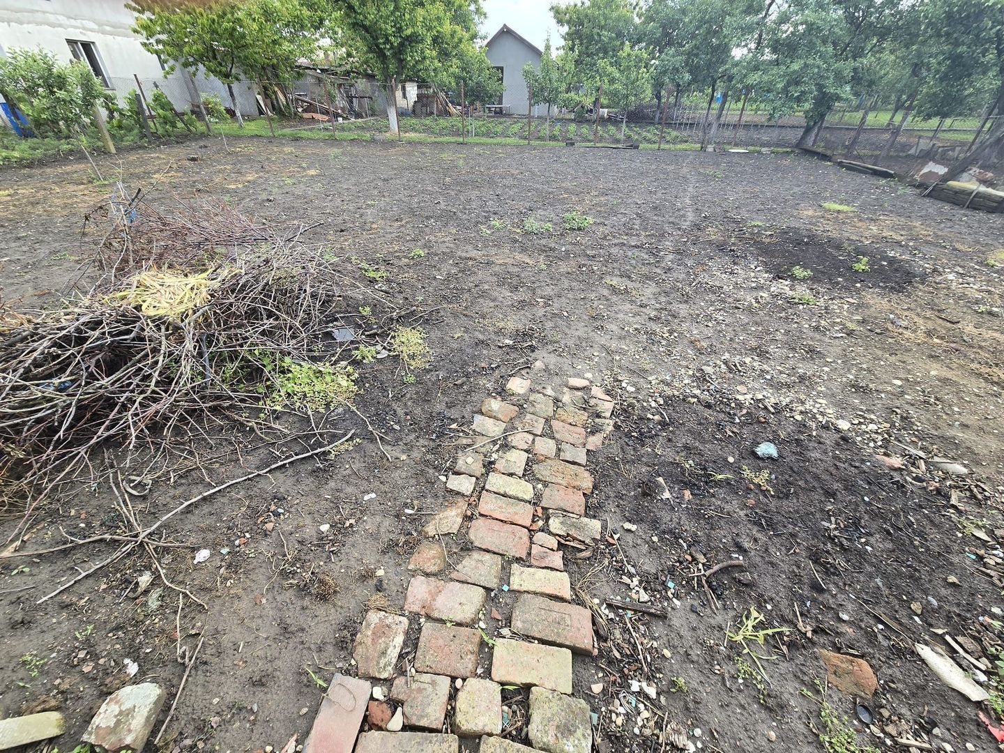 🏡 Casă renovată cu teren generos – Ciacova, Timiș, 800 mp teren - Poză 9