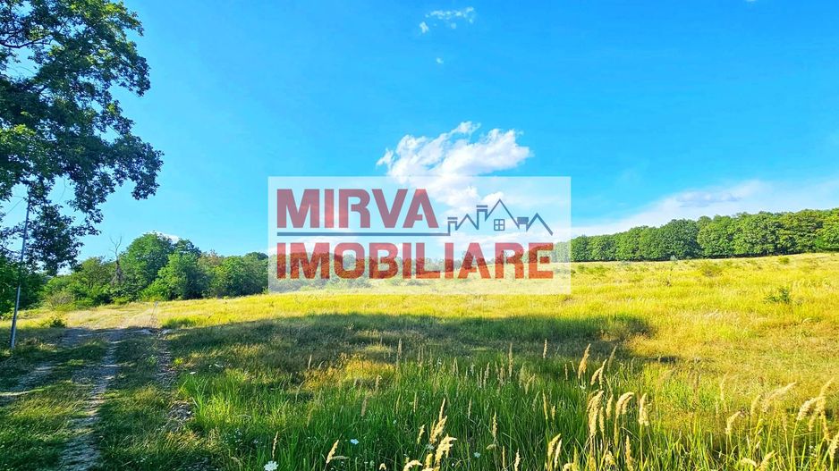 Teren intravilan construibil 3.500 mp Păcureți | UTR 6, P+2, POT 30% - Poză 3