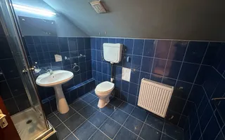 PANTELIMON, APARTAMENT-VILA 1E+M 230 MP, CURTE 516 MP! - Poză 36