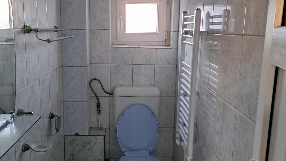 OFERTA in Băcia. Hunedoara ! Proprietate 2 case + Cabană - Poză 12