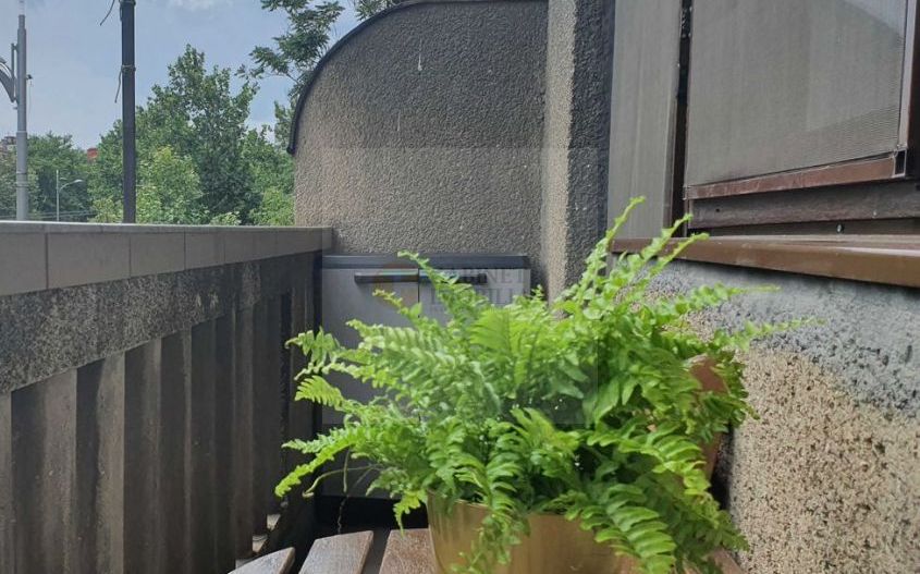 Garsoniera | Calea Victoriei | Etaj Intermediar - Poză 8