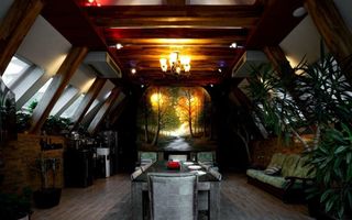 Vila grandioasa, Gradina Japoneza, SPA, Crama, Teren Tenis, Foisor, Iaz Pesti - Poză 11