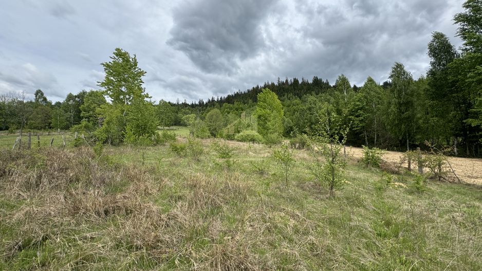 TEREN INTRAVILAN 6680 MP LERESTI ARGES - Poză 2