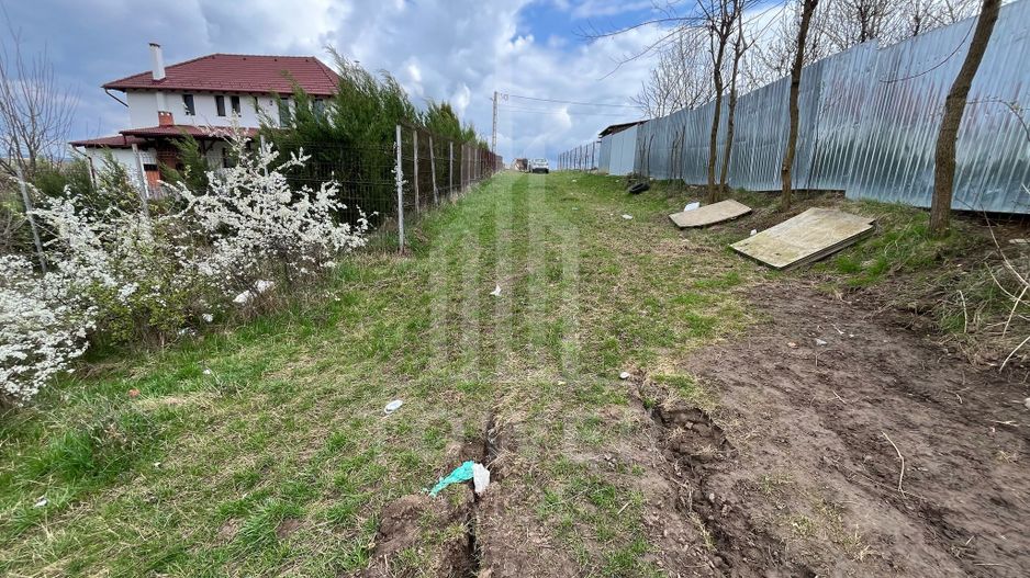 Terenuri de vânzare – Investiție cu potențial în Daia Nouă! - Poză 4