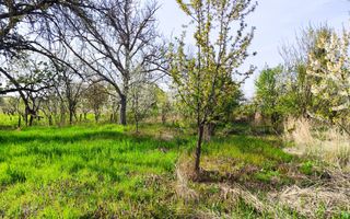 Casa la tara in Petid, Bihor, teren 4.122 mp, acces auto - Vanzare - Poză 12