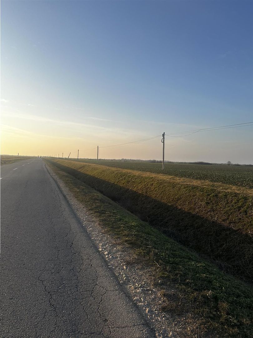 Teren Industrial Oradea spre Livada - Poză 3