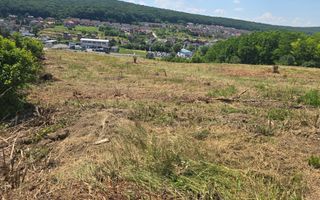 Teren intravilan 16.500mp 55euro mp deschidere de 82m la E60 - Poză 14