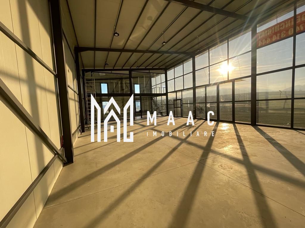 Hala | 250 MP | Teren 11.000 mp | - Poză 8