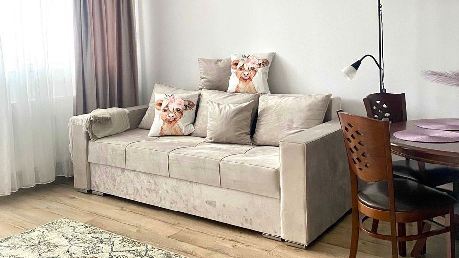 AP. 2 CAMERE BABA NOVAC, CAT-FRIENDLY, BOILER, MODERN, METROU 5 MINUTE - Poză 3