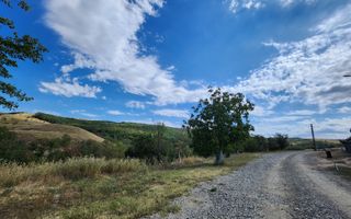 De vanzare teren intravilan 728mp, Oarda de Sus - Poză 4