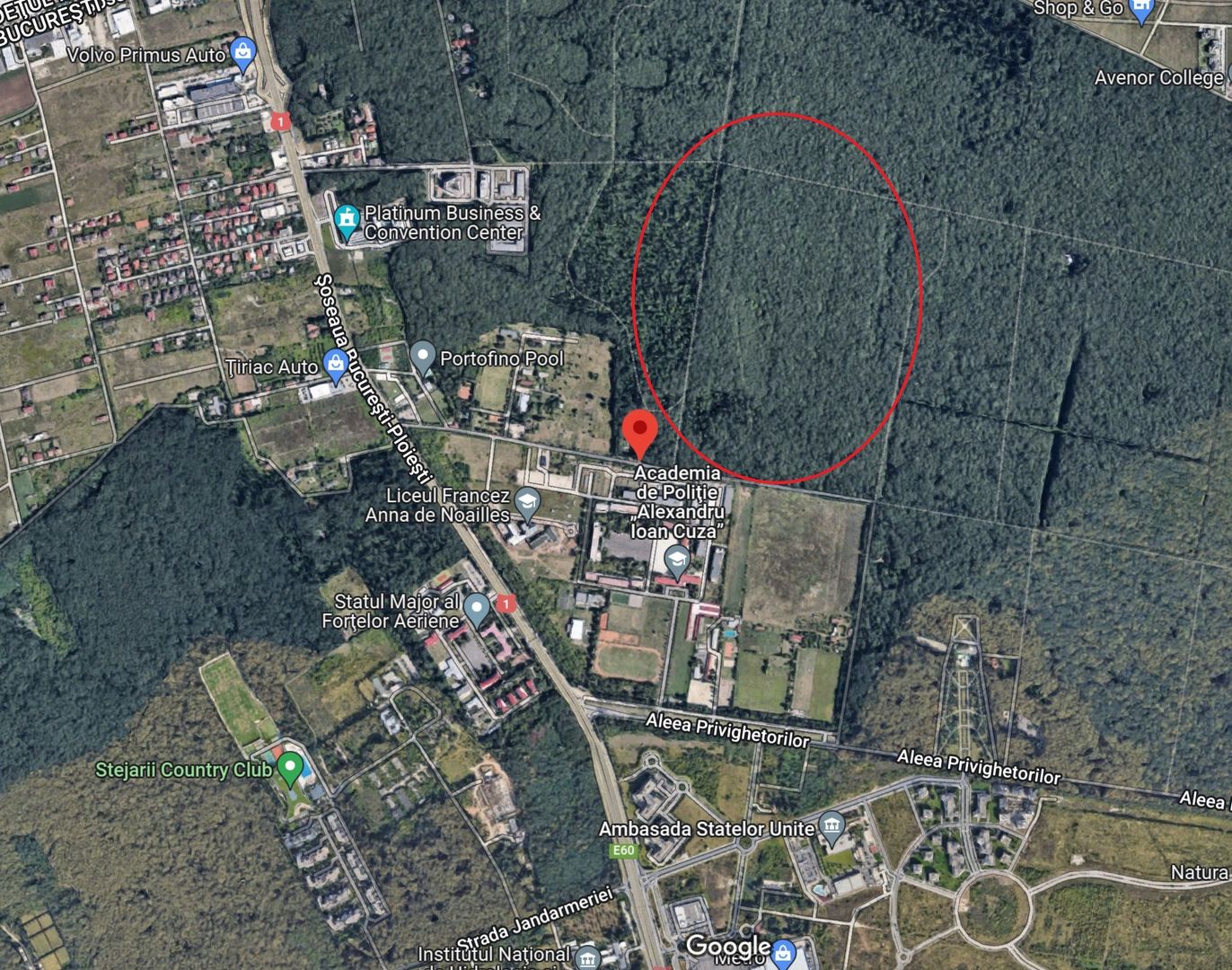 192842 mp teren in Padurea Baneasa proiect exclusivist - Poză 9