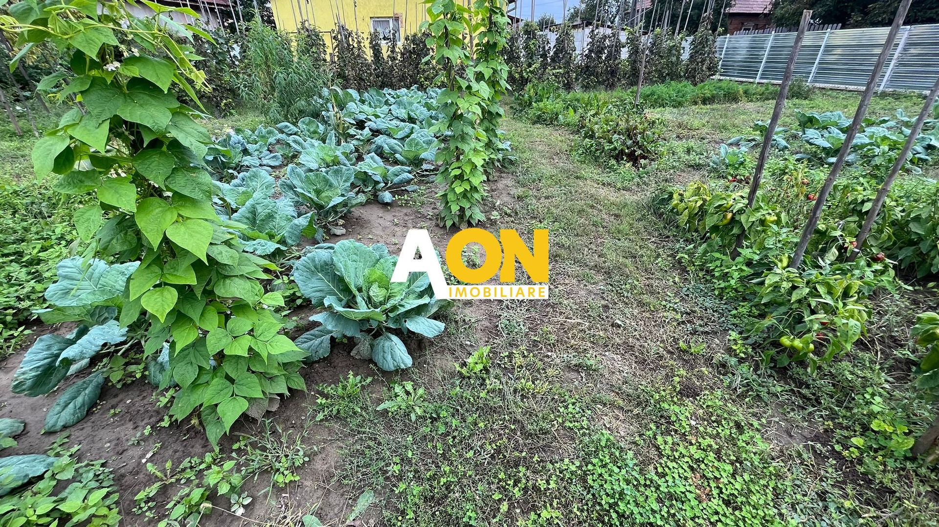 Teren de Vanzare 900MP - Poză 1