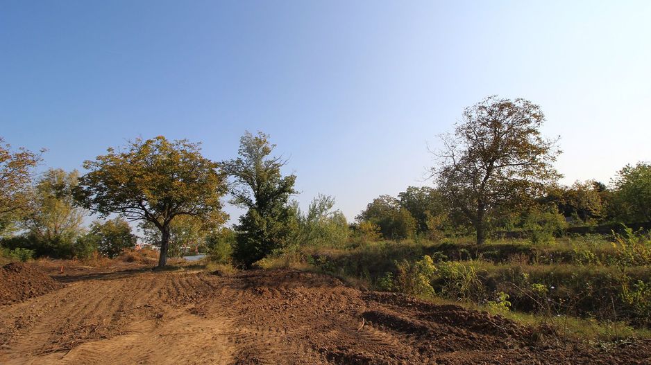 Teren 5963 mp deschidere lac Grivita 42 m cu deschidere la strazi 77 m - Poză 17