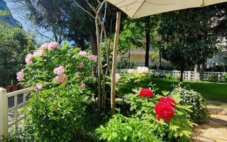 Vila Interbalica in centrul Bucurestiului - Poză 28