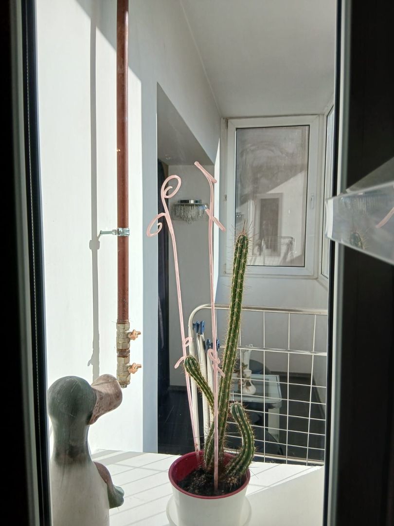 Apartament 3 camere de vanzare Gorjului - Poză 12