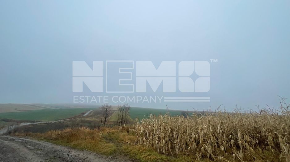 TEREN EXTRAVILAN | DOUA PARCELE 2.84 HA| IDEAL AGRICOL | DARMANESTI - Poză 16