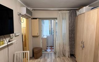 Apartament cu 1 camera, Muzeul Satului - Poză 2