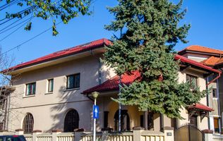 Etaj 1 plus mansarda in vila