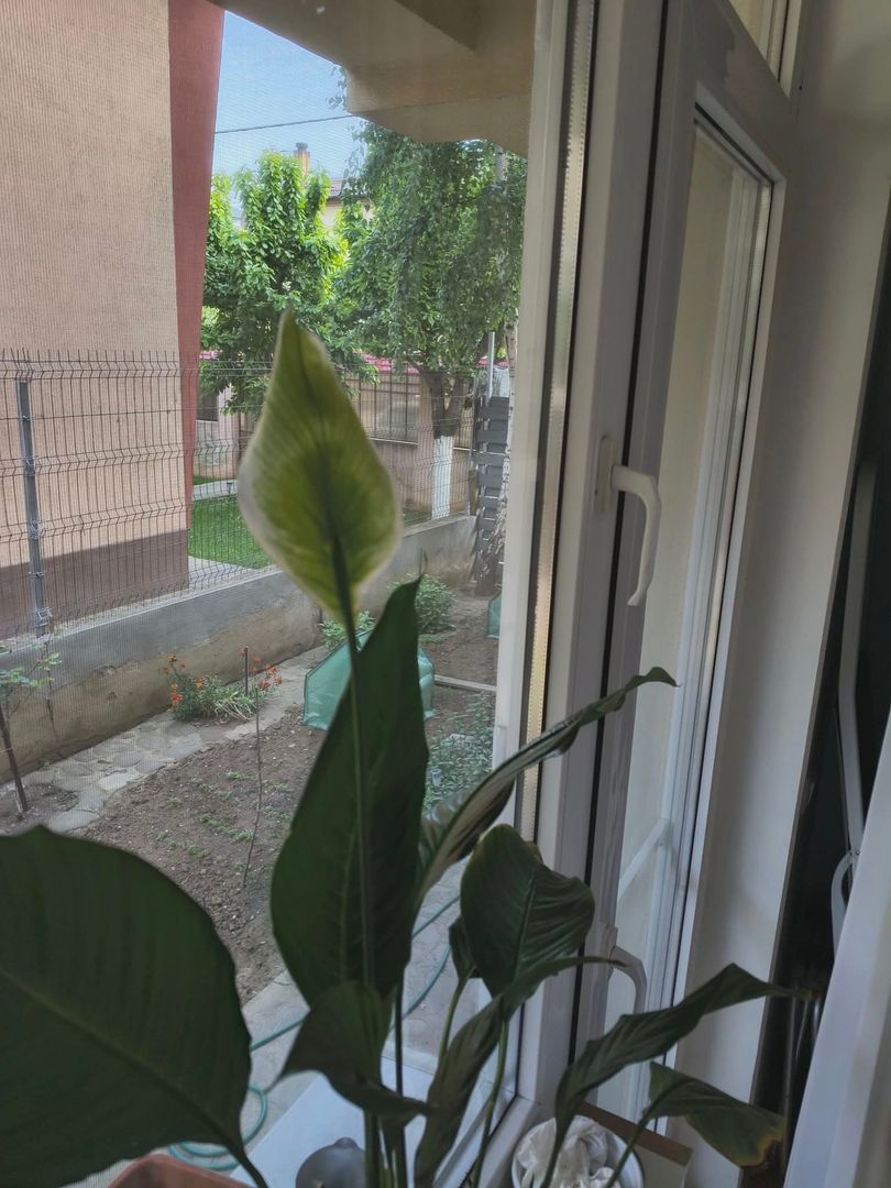 2cam.dec.mob-util complet+curte62mp+parcare/10min metrou D.leonida - Poză 23