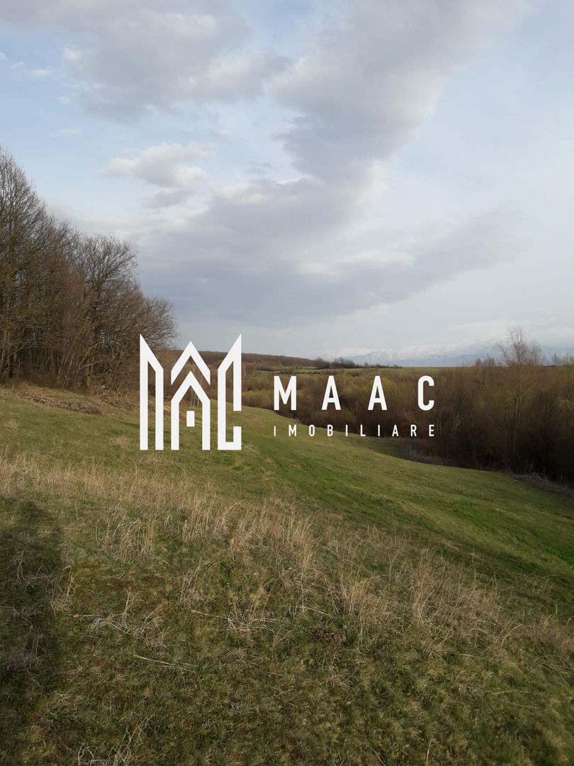 Teren Extravilan 4.572mp | Zonă liniștită | Sadu - Poză 3