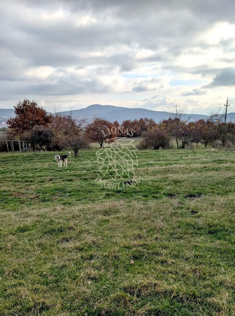 Teren intravilan 716 mp-ideal casa, investitie-Zona Dr. Dumitrei - Poză 2