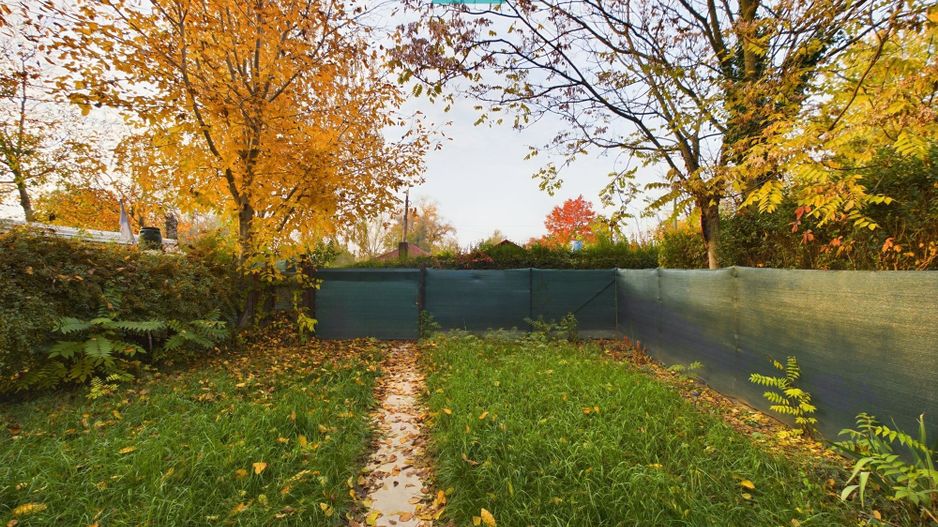 Căsuța pe ștrandul Neptun din Arad - Poză 17