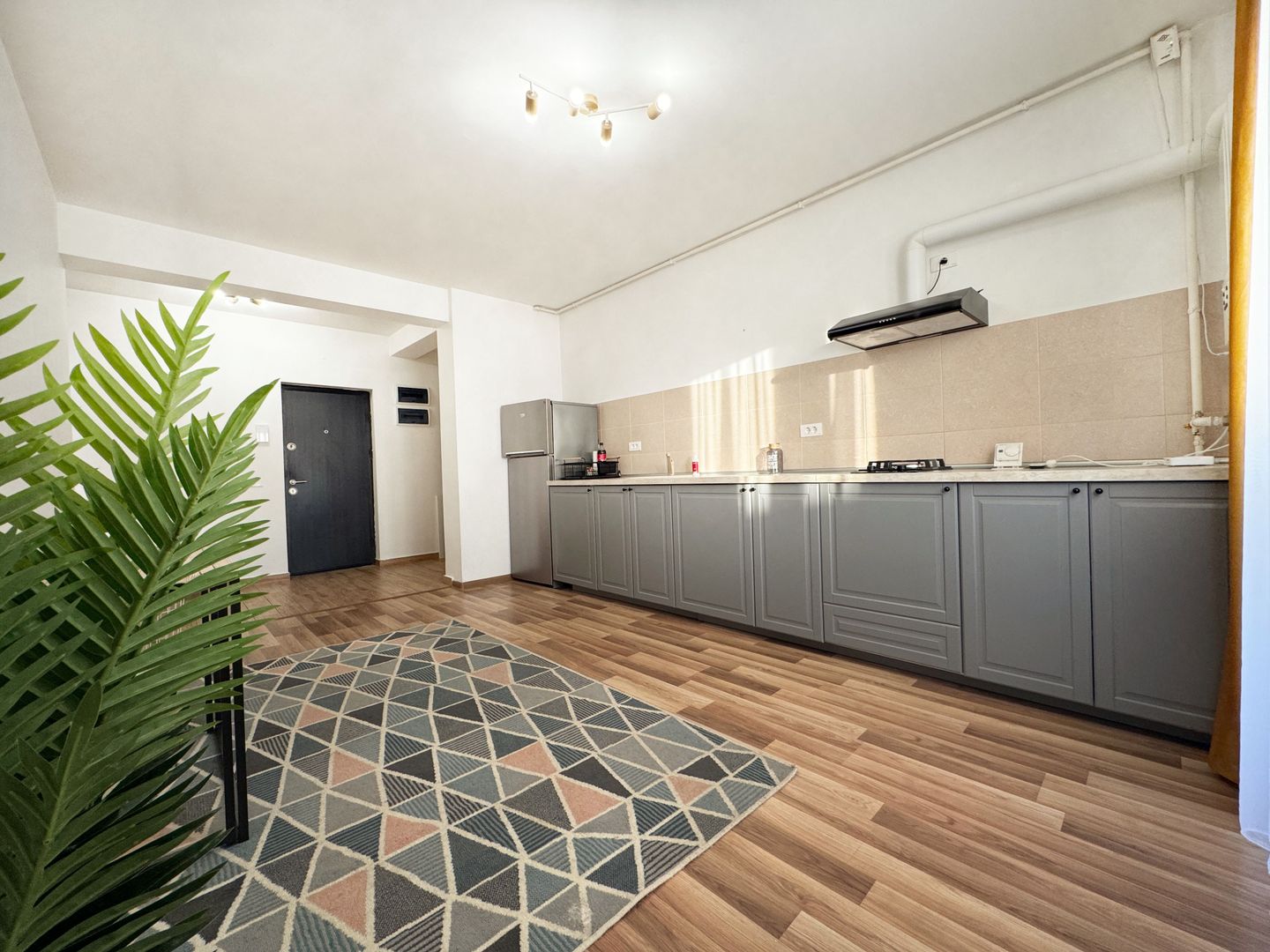 Pallady Studio mobilat 45mp imobil 2020 lift Metrou Teclu - Poză 4