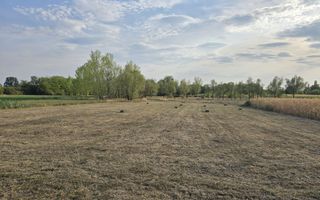 Teren intravilan 6.514mp | 39m front stradal | Ciocaia | Săcuieni - Poză 6