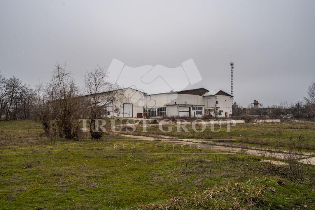 Teren 28.788m + Hale industriale + Sediu Firma - Poză 39