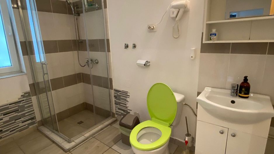 Casa zona Lipovei - Poză 14