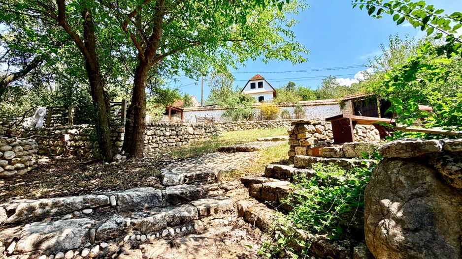 CASA THEA | INVESTIȚIE ÎN TURISM, GASTRONOMIE ȘI EXPERIENȚE | SOCOLARI - Poză 58