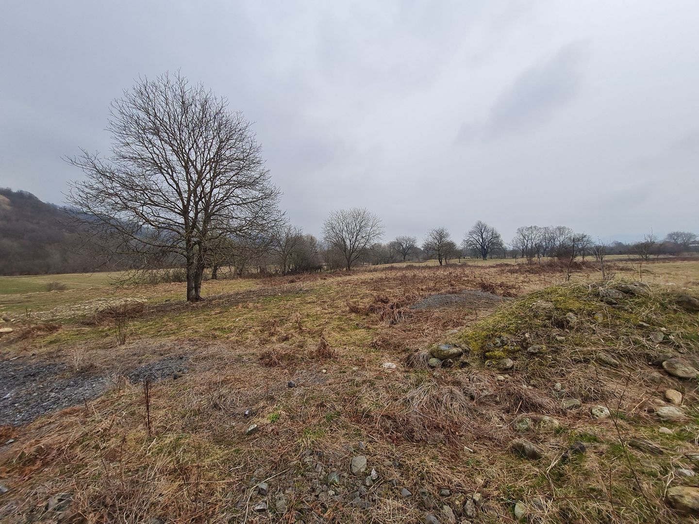 Teren intravilan 4400 MP - Poză 5