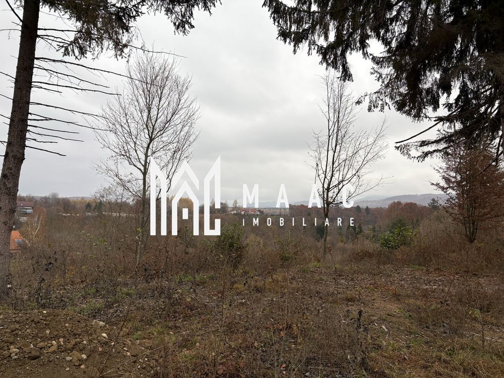 Teren intravilan | 2.000 mp |  Valea Avrigului - Poză 4