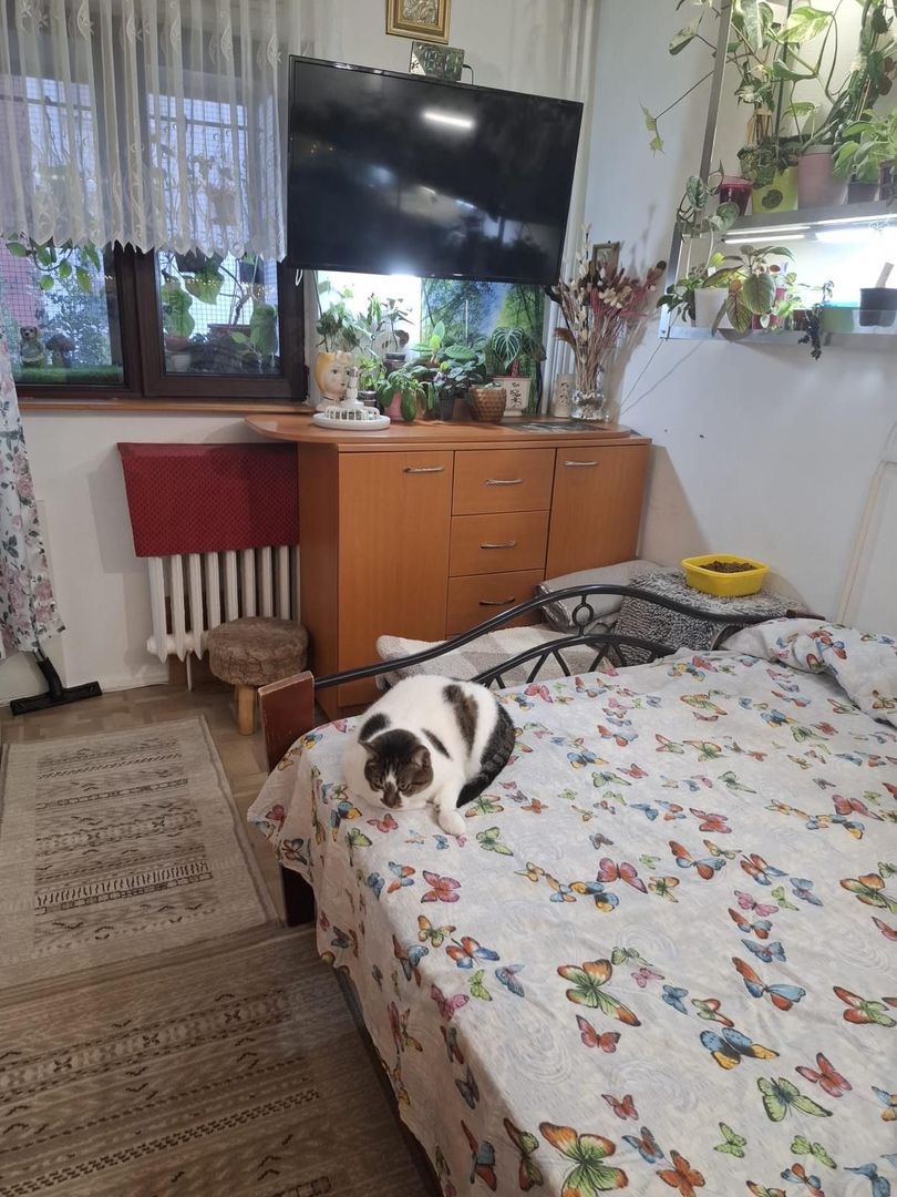 Apartament cu trei camere, Brancoveanu-Luica, 93.0000€ negociabil - Poză 5