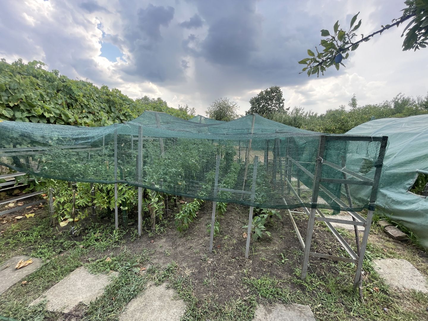 Casa | 9 camere | Garaj | Piscina | Teren 3.000 mp | Comision 0% - Poză 40