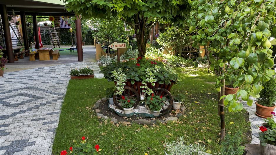 Vilă cu 7 dormitoare Centru, Arad - Poză 6