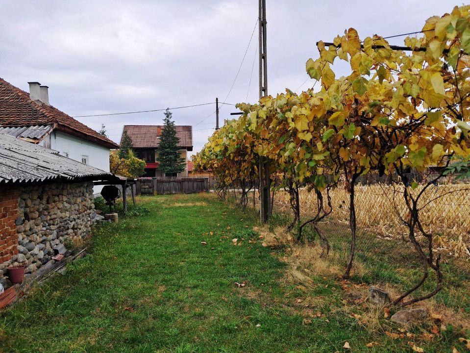 CASĂ SI TEREN BAIA DE FIER - Poză 5