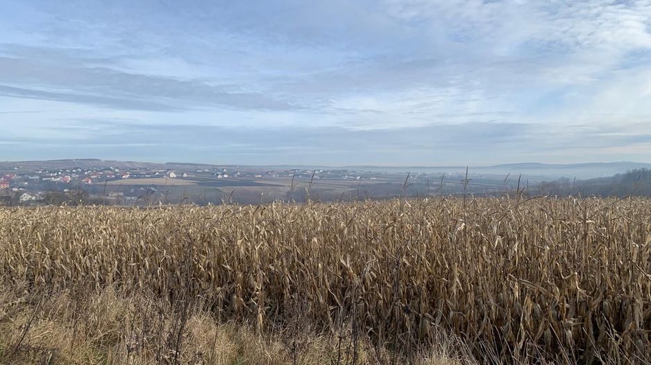 Teren intravilan de vânzare | Cajvana | 7.800 mp - Poză 8