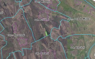 Teren Agricol, 11 HA, Bulăiești, Orhei - Poză 10