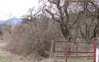 Pământ I Fereastră către Eternitate în  Transilvania - Poză 21