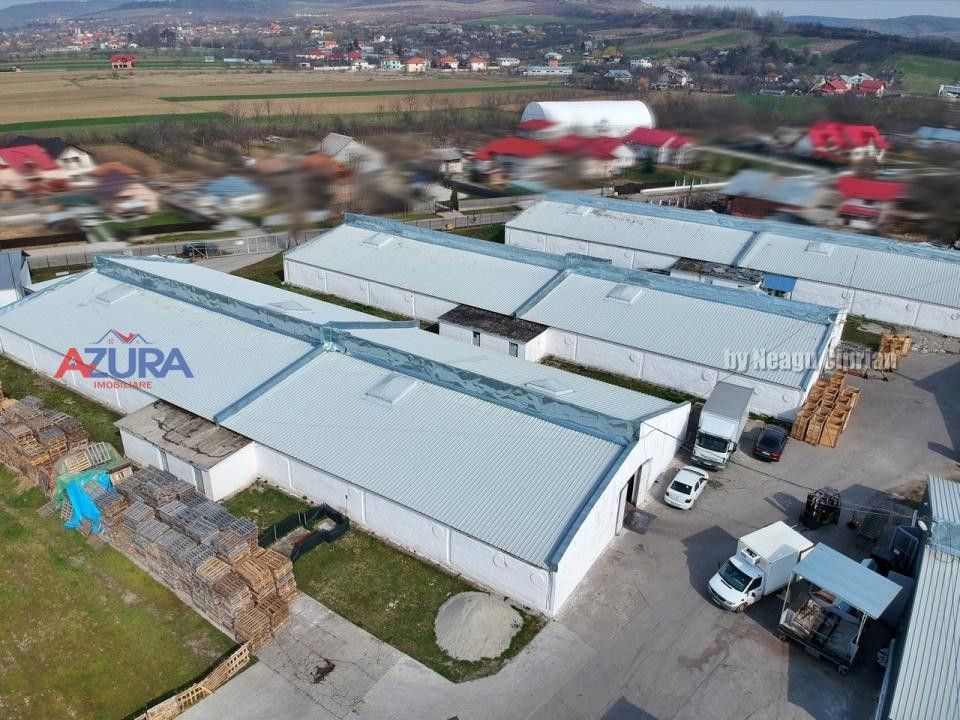 COMISION 0% - HALE Calinesti Arges - Poză 10