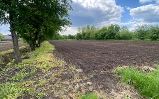 Teren Intravilan | 22 ARI | Horodnic De Jos - Poză 3