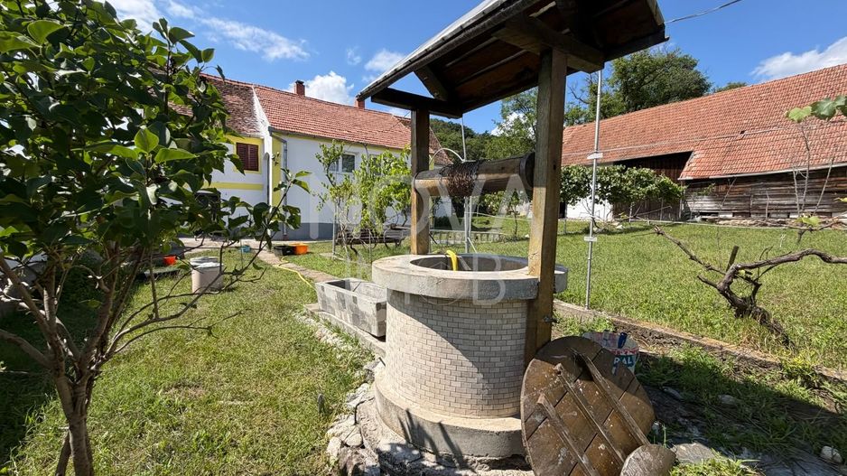 Casa individuala cu teren generos – 8.356 mp – Tichindeal, jud. Sibiu - Poză 4
