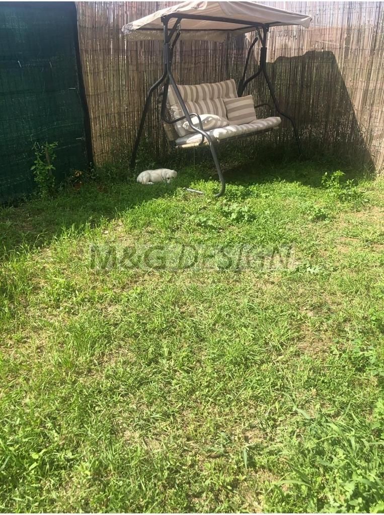 Apartament 2 camere zona Mehala - Poză 6